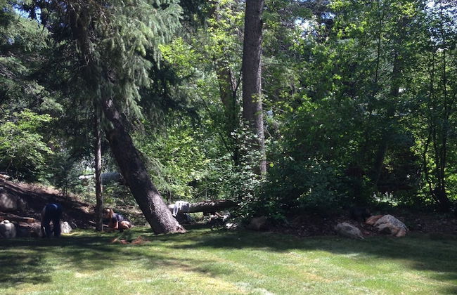 Treehouse by the Stream - Photo 16