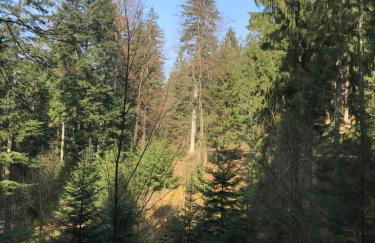 Ferienwohnung Hesselbach - Foto 32