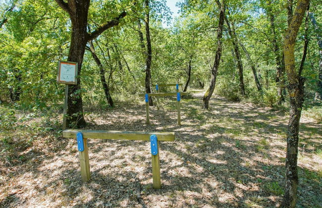 Belvilla by OYO Appartamento il Coniglio - Foto 36