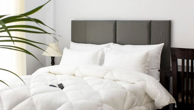 Tranquil 2bhk Oasis in the Heart of Gurugram - Foto 3, Zimmer