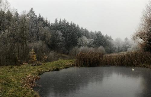 Sowia Enklawa - Foto 35