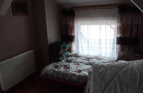 Green Hous agroturystyka - Photo 19