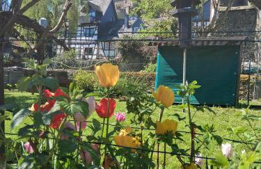 Pension bei Goscha mit Schlossblick - Foto 21