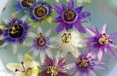 Ca' Giorgio - Foto 31