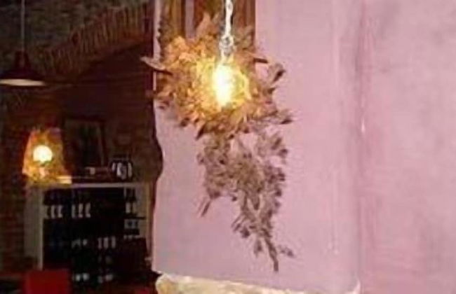 Agriturismo Un Angelo alla mia tavola - Foto 29