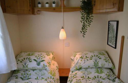 Swallows Return - Foto 18