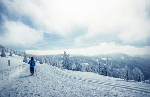 Haus Weitblick - Fewo Herzogenhorn - Bernau, Schwarzwald - Foto 15