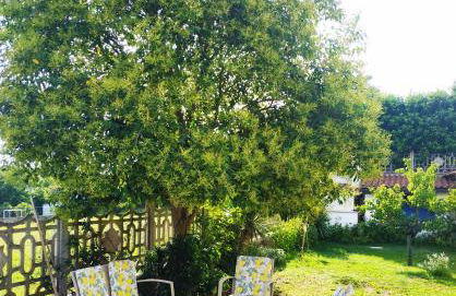 Il Ciliegio Holiday Apartment With Garden - Foto 63