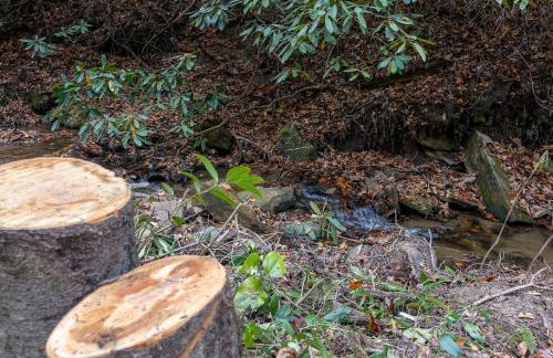 Creekside Guest House Mountains & Relax to the soothing sound of the creek - Foto 42