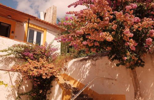 Quinta do Boição - Foto 68