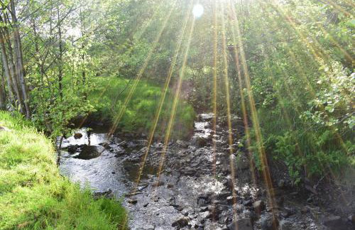 Healing Pastures Farm - Foto 27