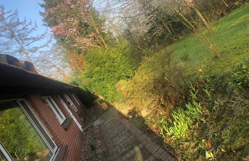 Bücherträume - Foto 24