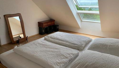 Sonnenschein am Rursee - Foto 5