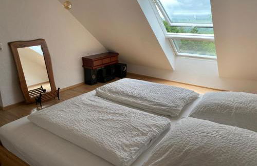 Sonnenschein am Rursee - Foto 5