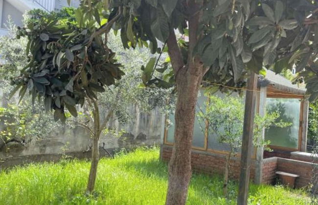 Kalpazo Tirana Vila 313 - Foto 40