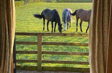 The Old Telephone Exchange - surrounded by fields! - Photo 14