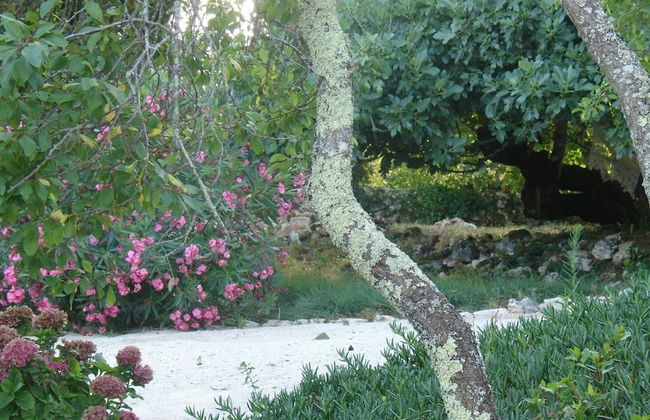 Otium Country House - Foto 49