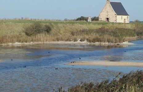 Chez Emile - Foto 31