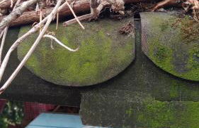 FeWo bei Tati - Bungalow - Foto 18