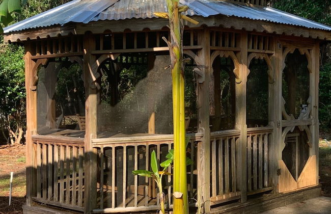 Nature Coast Inn and Cottages - Foto 15