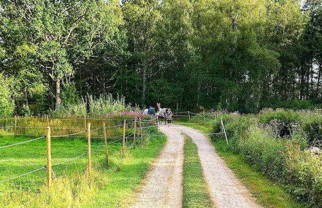 4 Person Holiday Home in Korsberga - Foto 18