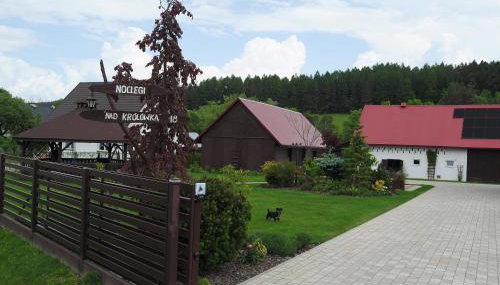 Nad Krolówką - Foto 2, Garden, Garden view