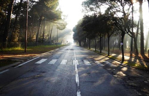 Bilocale Marina Romea - Photo 23