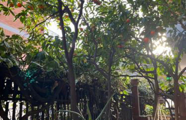 Acquedotti apartment with garden - Foto 19