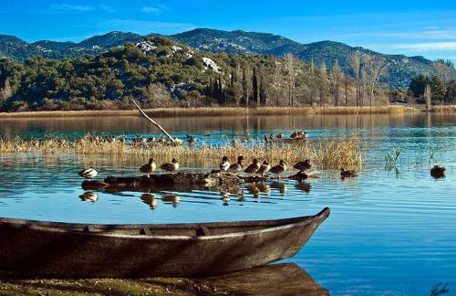 Ljubica Comfortable Apartment - Foto 38