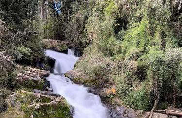 Chalé Vale dos Vagalumes, Gonçalves, Minas Gerais - Foto 18