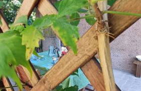 Bilocale Casa Manu Garden - Foto 9