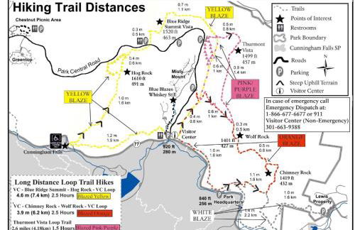 Entire Mountain Cottage Near Scenic Hiking Trails - Photo 18