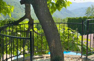 Villa Viera - Photo 34