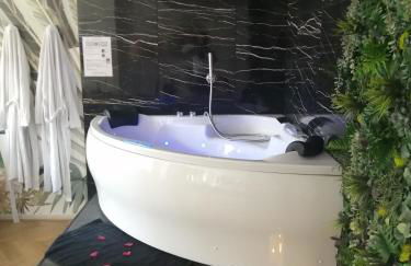 Spa-Sauna-Ciel de pluie tropicale-Champagne Nuit Romantique - Escapade Mâconnaise - Foto 13