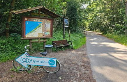 Domki U Sieronia - Foto 20