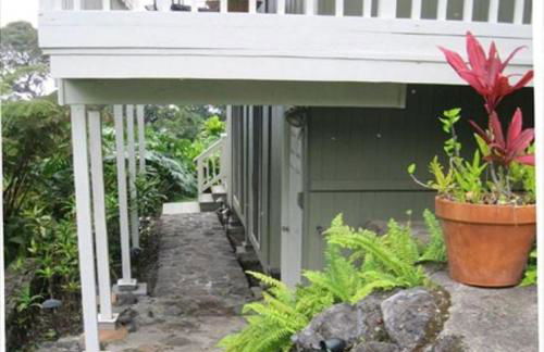 Orchid Hale - Foto 38