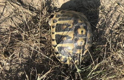 Villa lavanda - Foto 55