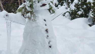 O DOUBS SEJOURS - Foto 2