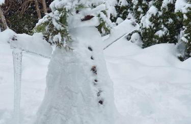 O DOUBS SEJOURS - Foto 2