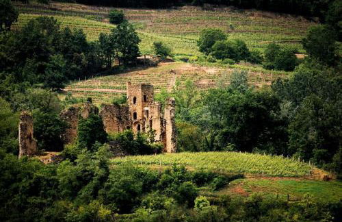 Agriresort Villa Gelso - Pet Friendly & Adults Only - Foto 91