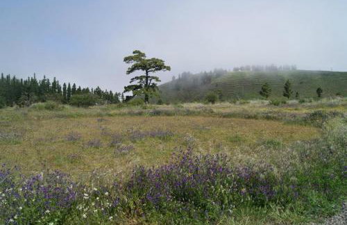 Caserio Los Partidos - Foto 31