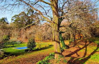 Veiga Mariña - Foto 1