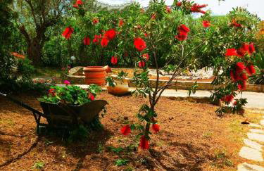 Villa Maroudia - Photo 41