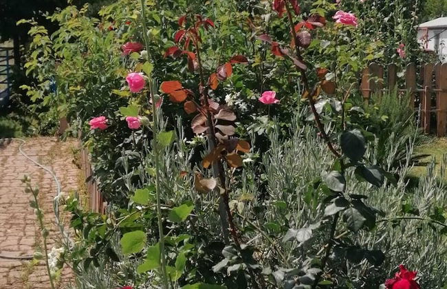 No:85 Konaklama Tesisi - Foto 56