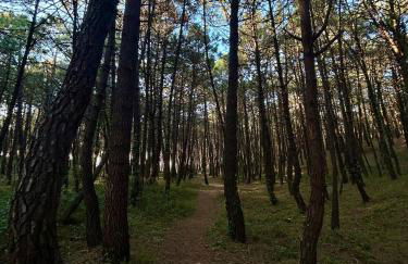 Villa Laura - Foto 60