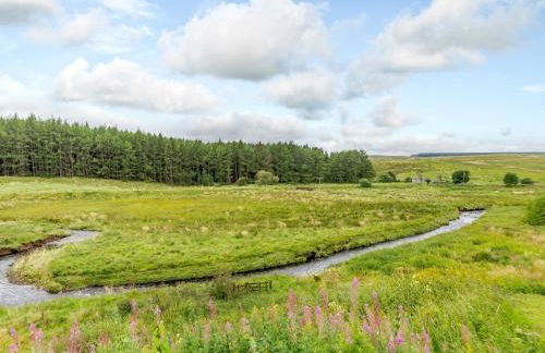 Kerseycleugh Bridge Cottage - Foto 21