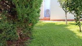 Villa Rosa Holidays - Foto 4, Garden