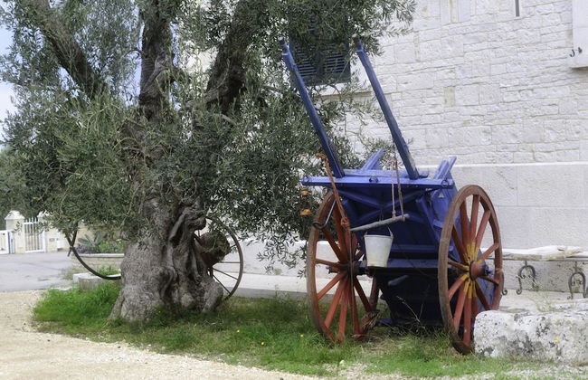 Tenuta Lama Gorga - Photo 32