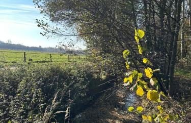 Cottage am Rosencarree - Foto 10