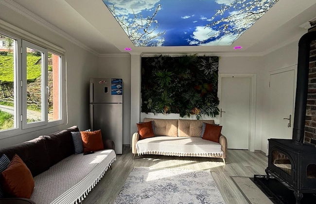 Dereli Suit Apart - Foto 20